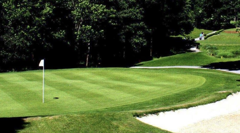 Photo of Lingfield Park Golf Club